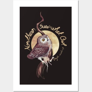 Northern Saw-whet Owl Posters and Art